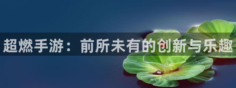 蓝冠娱乐官网登录：超燃手游：前所未有的创新与乐趣