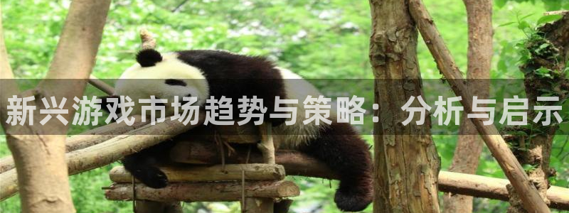 蓝冠娱乐注册登录平台：新兴游戏市场趋势与策略：分析与启示