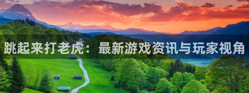 蓝冠娱乐登录：跳起来打老虎：最新游戏资讯与玩家视角