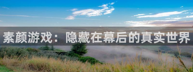 蓝冠娱乐网址官网：素颜游戏：隐藏在幕后的真实世界