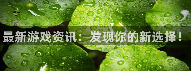 蓝冠娱乐注册开户：最新游戏资讯：发现你的新选择！
