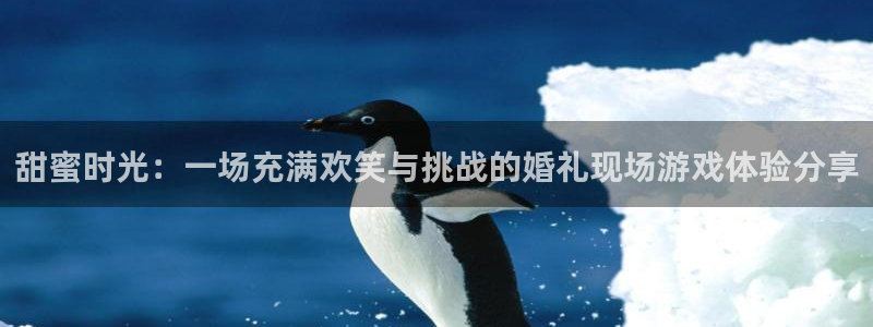 蓝冠娱乐网址官网：甜蜜时光：一场充满欢笑与挑战的婚礼现场游戏